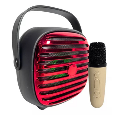 PARLANTE CON MICROFONO KAREOKE 4PLG